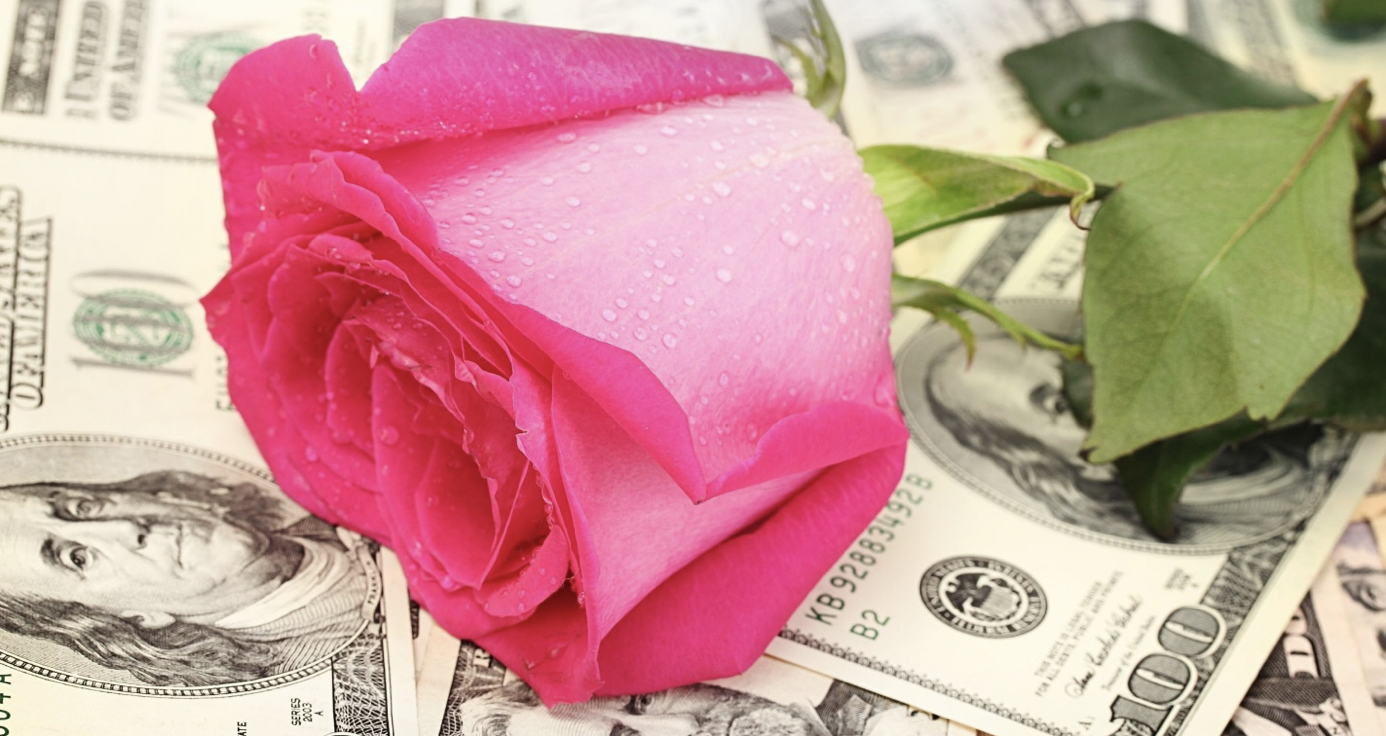 pink rose on one hundred dollar bills
